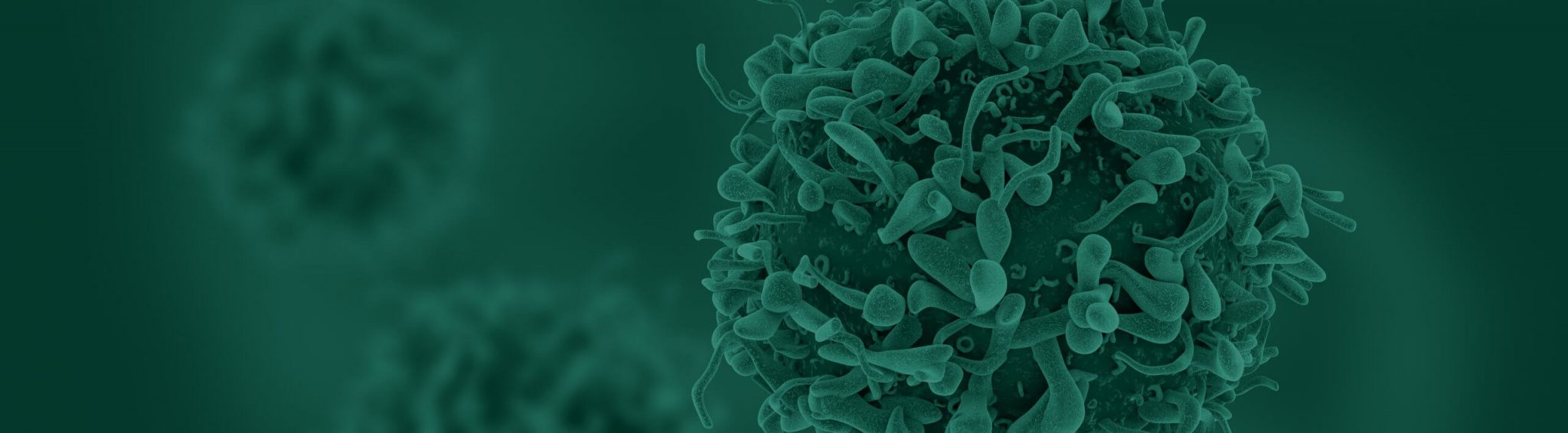 Th17-Array--scaled-2048x566