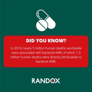 249f886e-1c53-4f44-83e8-751ce9b931e6-300x300@2x