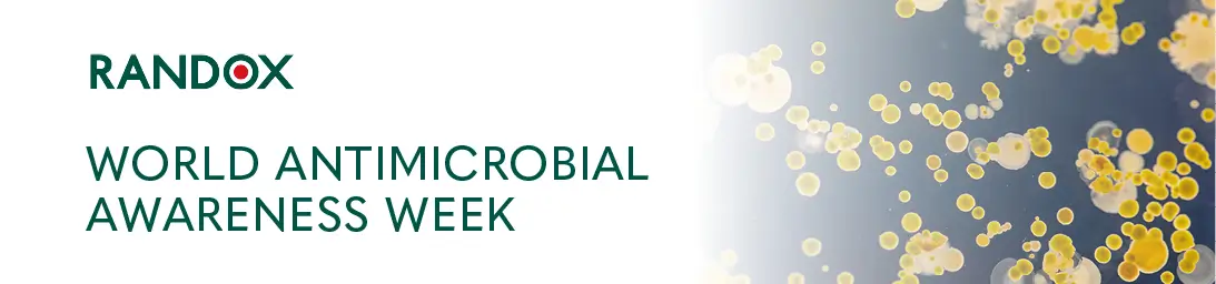 MicrosoftTeams-image-134